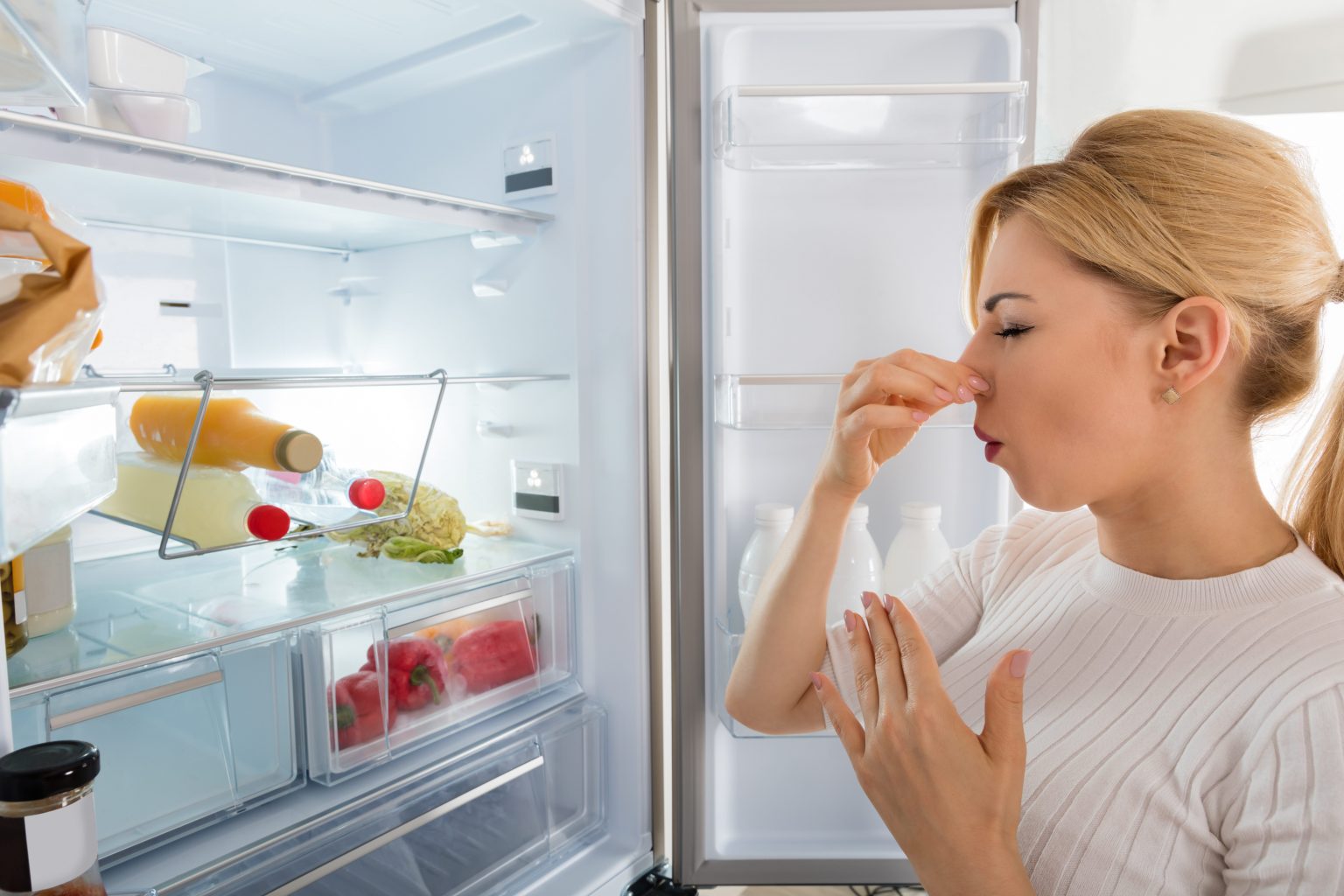 Keeping your refrigerator fresh with chlorine dioxide helps keep your produce fresh and mold free.