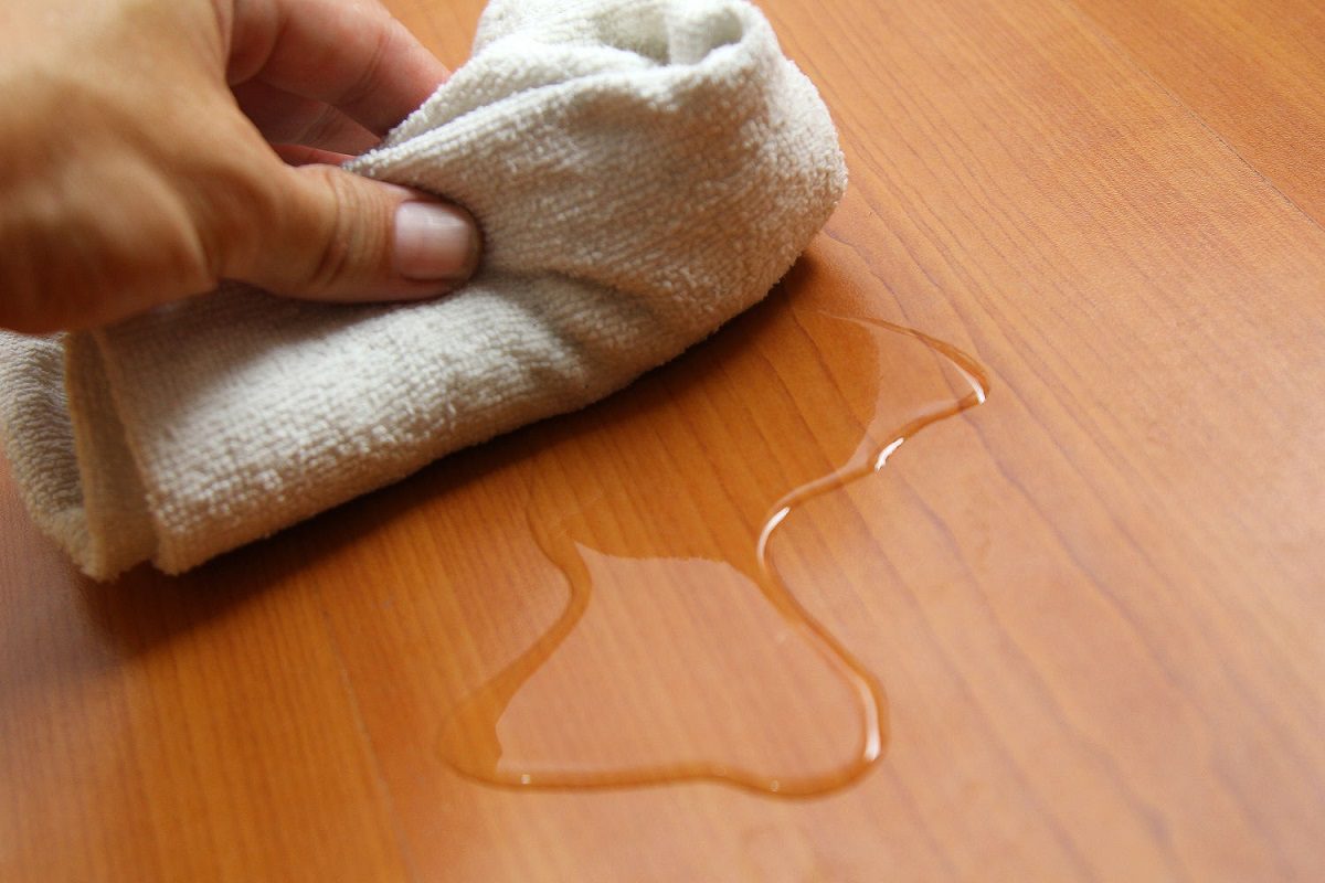 close shot of pet urine on hardwood floor and a close shot of hand with cloth absorbing pet urine from hardwood floor.