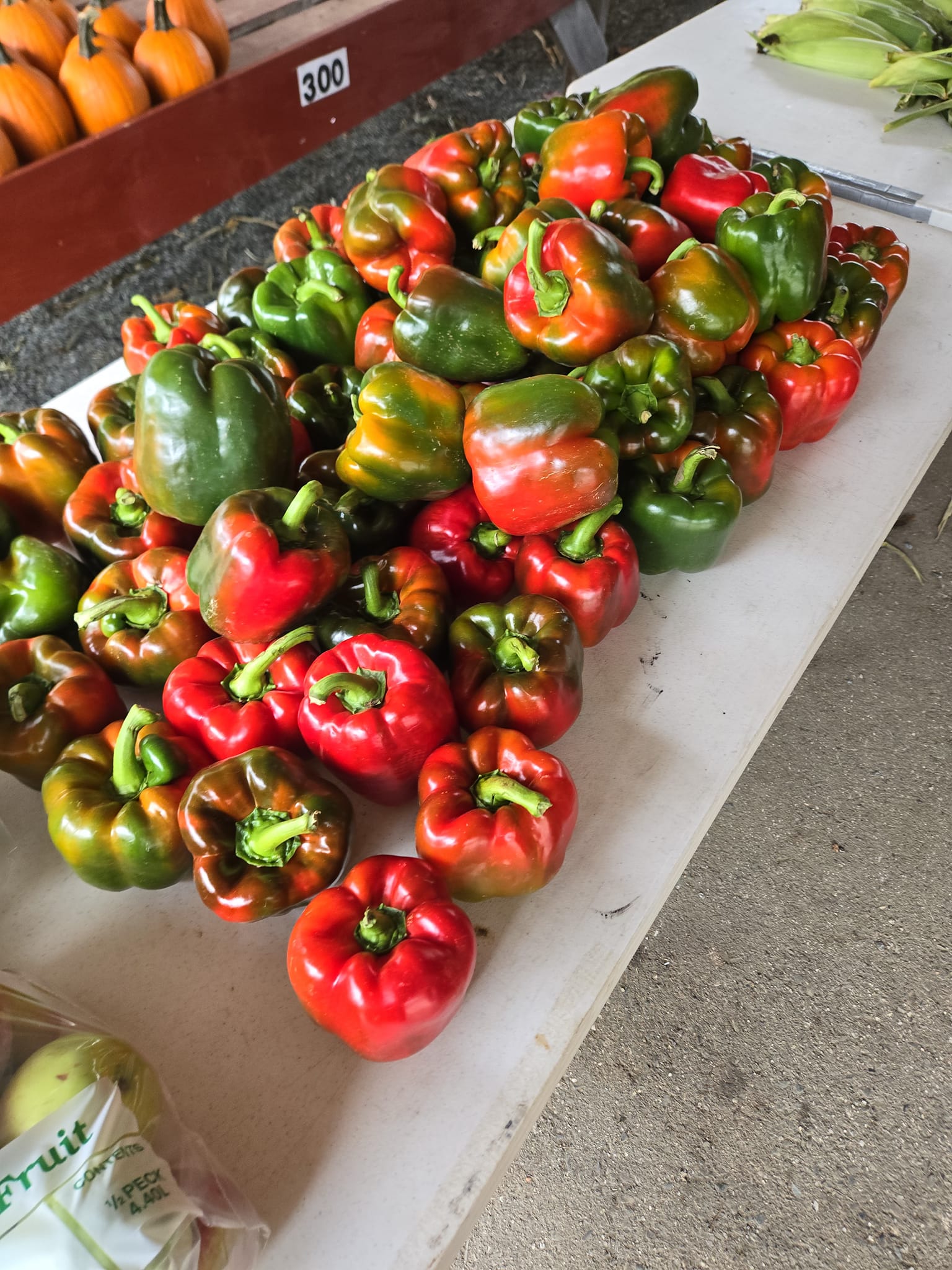Bell peppers straight from Wight's farm in Maine