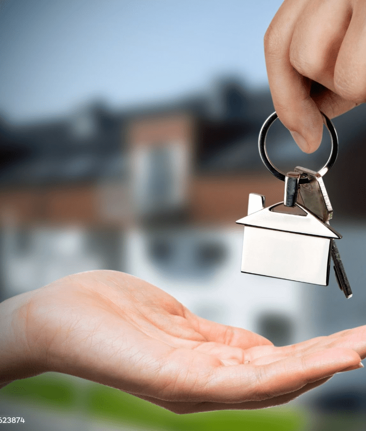 ClO₂ is one of the most effective odor removal agents for organic odors including pets, smoke, and mustiness.