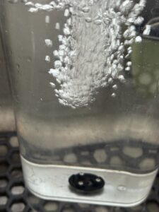 Fill the reservoir with fresh warm water