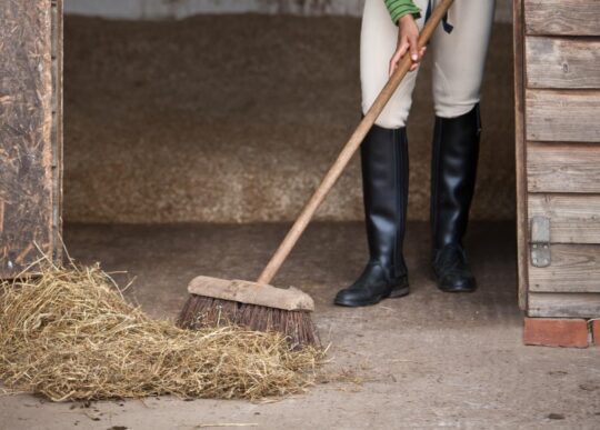A rider finishes the cleaning of a horse stall. {{brizy_dc_image_alt imageSrc=