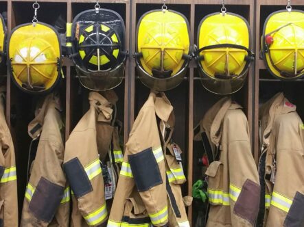 {{brizy_dc_image_alt entityId=