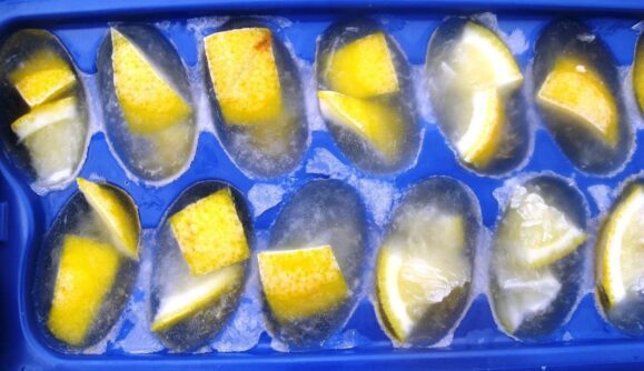 Freezing lemons in ice to clean a garbage disposal can be quite expensive. {{brizy_dc_image_alt imageSrc=
