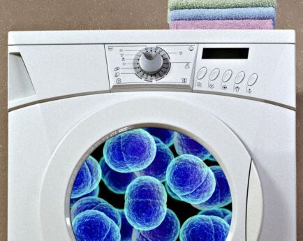 A dirty washing machine promotes cross-contamination. {{brizy_dc_image_alt imageSrc=