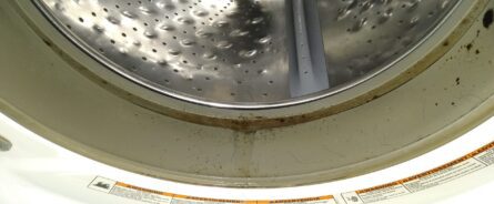 Mildew and other crud is built up on the gasket and other sections of the washer. {{brizy_dc_image_alt imageSrc=