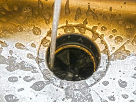 water runs into a garbage disposal as it is being cleaned. {{brizy_dc_image_alt imageSrc=