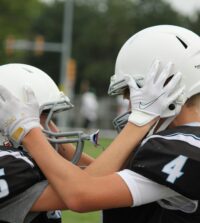 {{brizy_dc_image_alt entityId=