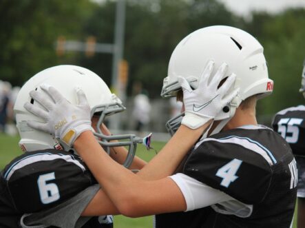 {{brizy_dc_image_alt entityId=