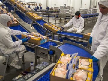 {{brizy_dc_image_alt entityId=