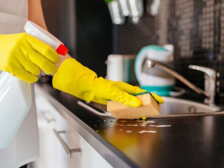 {{brizy_dc_image_alt entityId=