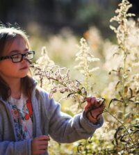 {{brizy_dc_image_alt entityId=