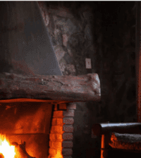 {{brizy_dc_image_alt entityId=