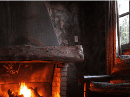 {{brizy_dc_image_alt entityId=